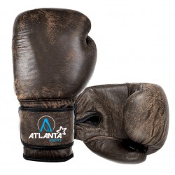 Combo-2 Boxing Gloves