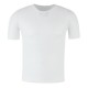 Base Layer