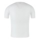 Base Layer