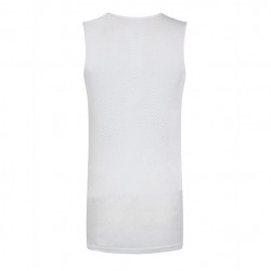 Base Layer