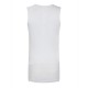 Base Layer