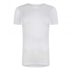 Base Layer