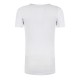 Base Layer