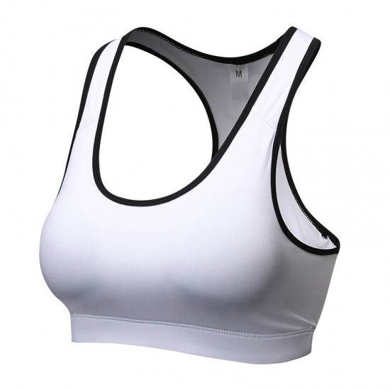 Latest Fashion Fitness Bra